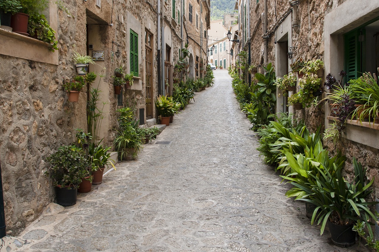 Cala Vinas - Valldemossa - Soller
